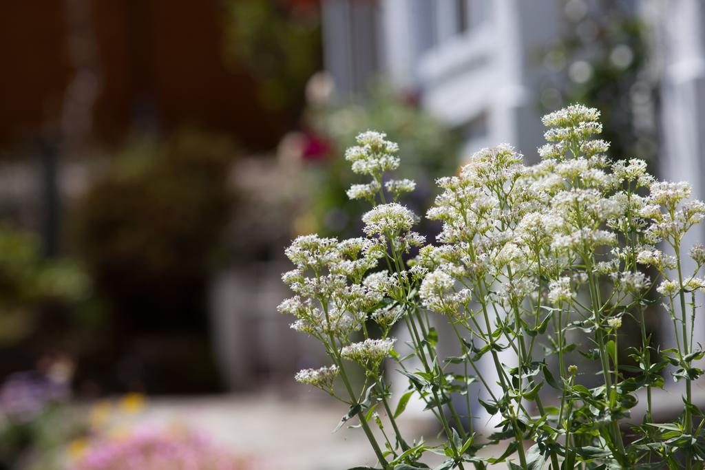 Penwinnick House B&B St Austell Extérieur photo